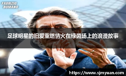 必一运动bsports